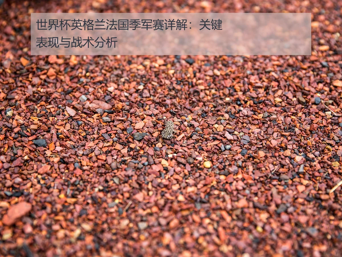 世界杯英格兰法国季军赛详解:关键表现与战术分析