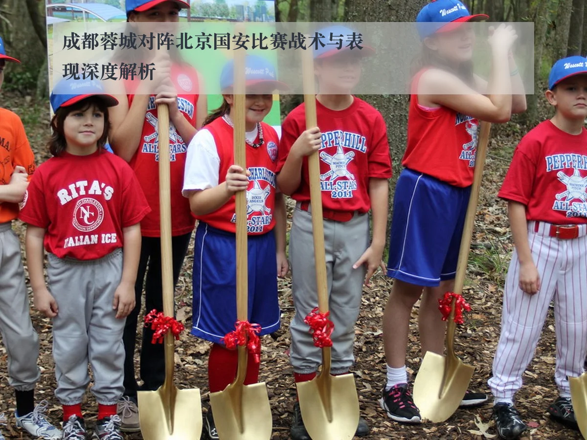 成都蓉城对阵北京国安比赛战术与表现深度解析